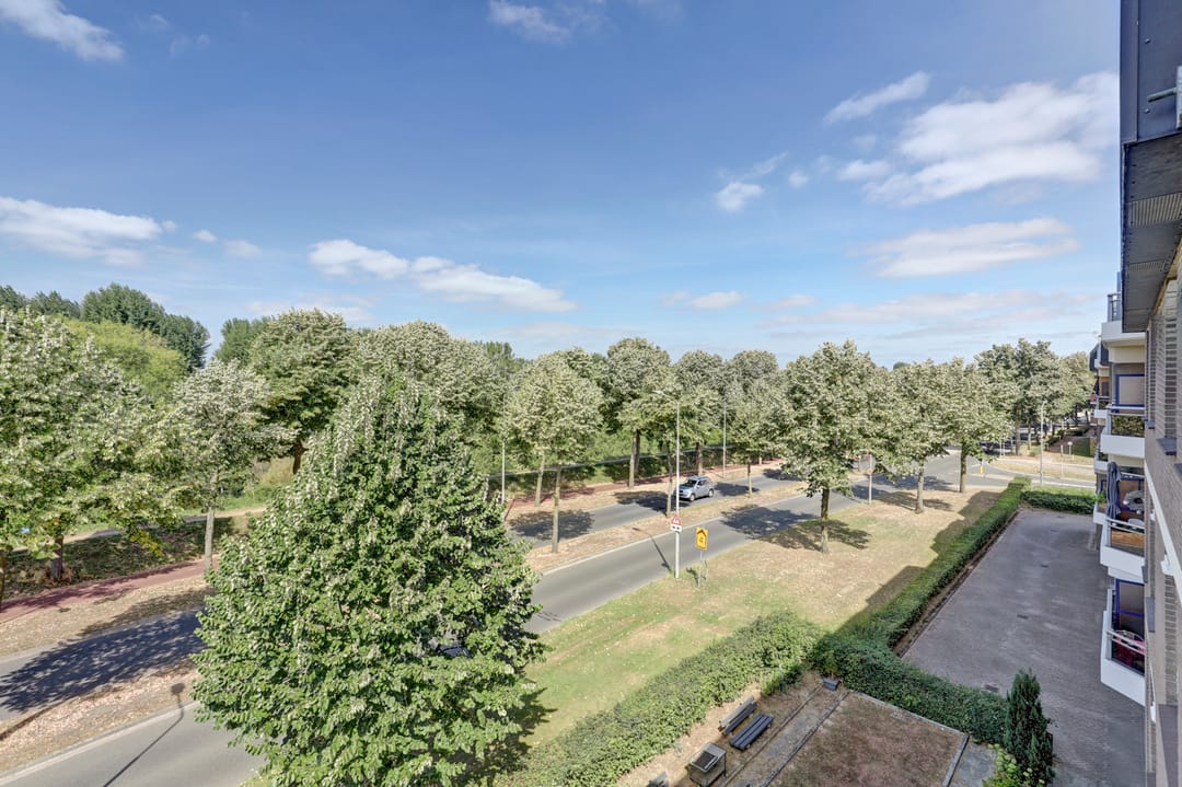 Foto 2 van De Roskam 97