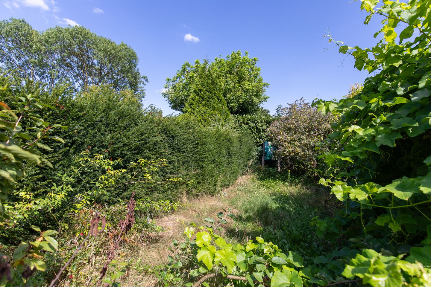 Photo 34 of Witte Kruis 13