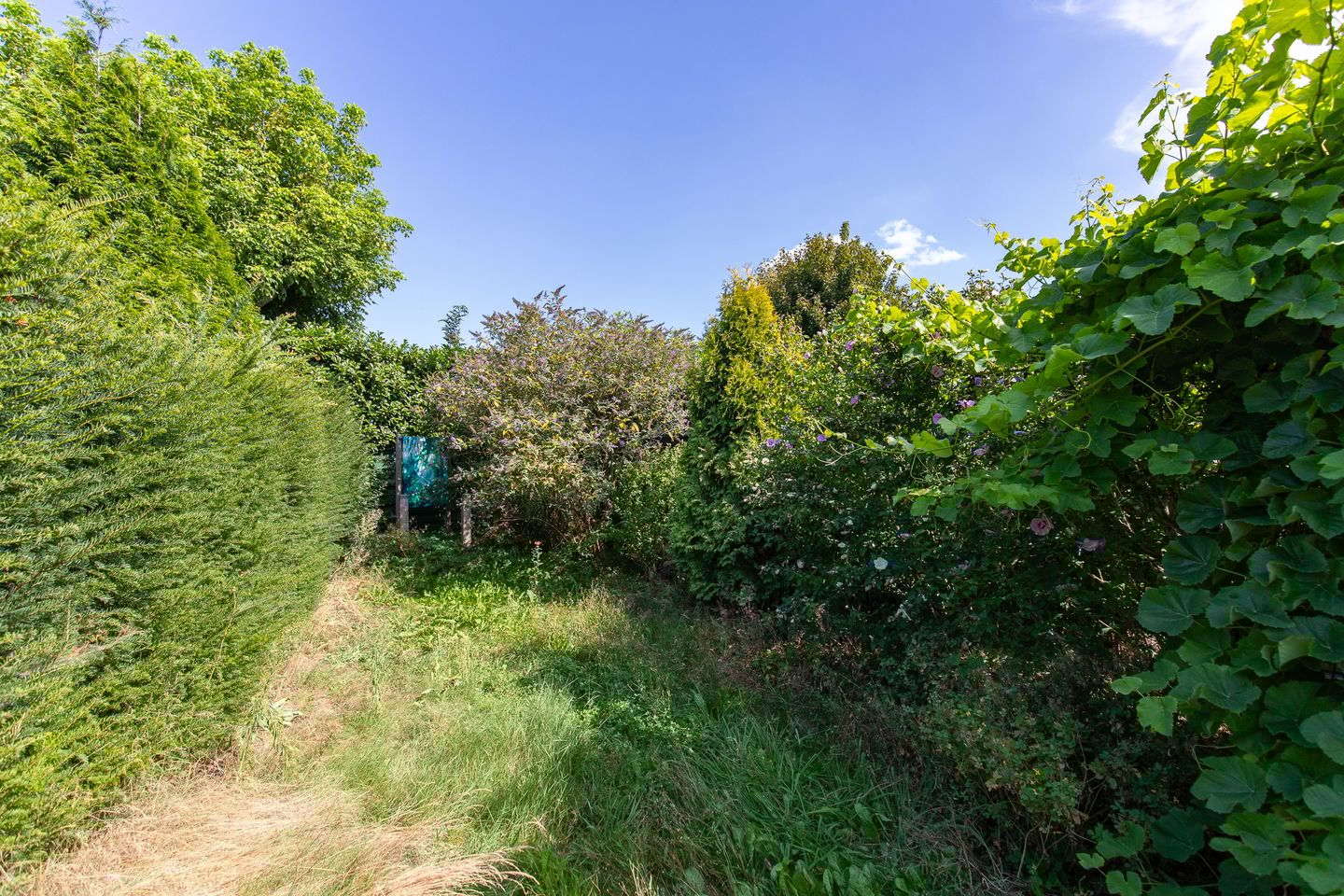 Photo 35 of Witte Kruis 13