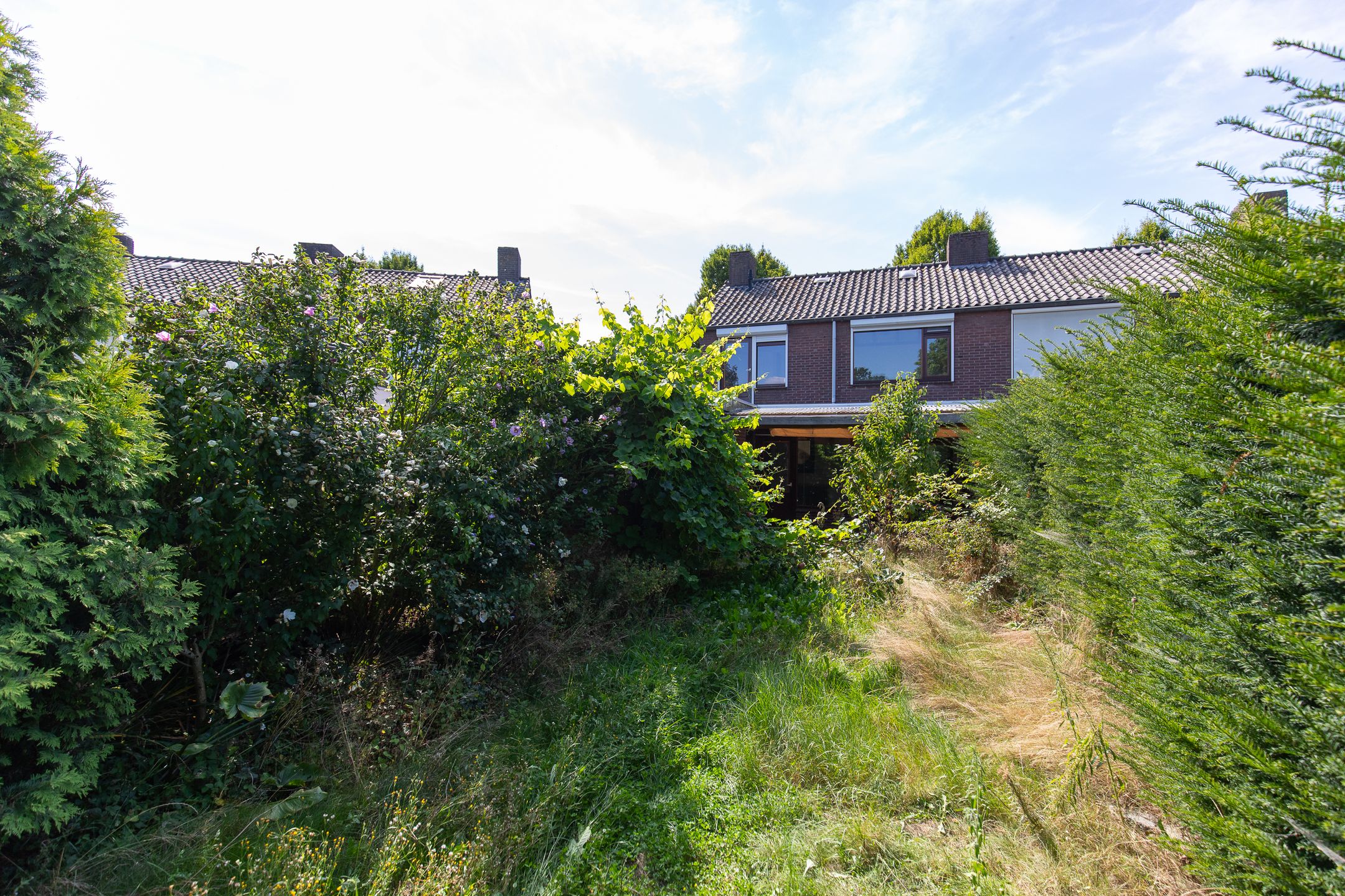 Photo 36 of Witte Kruis 13