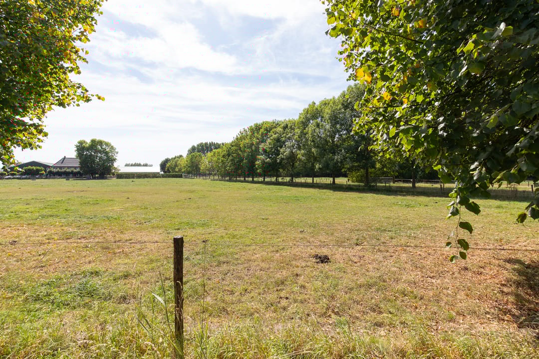 Photo 37 of Witte Kruis 13