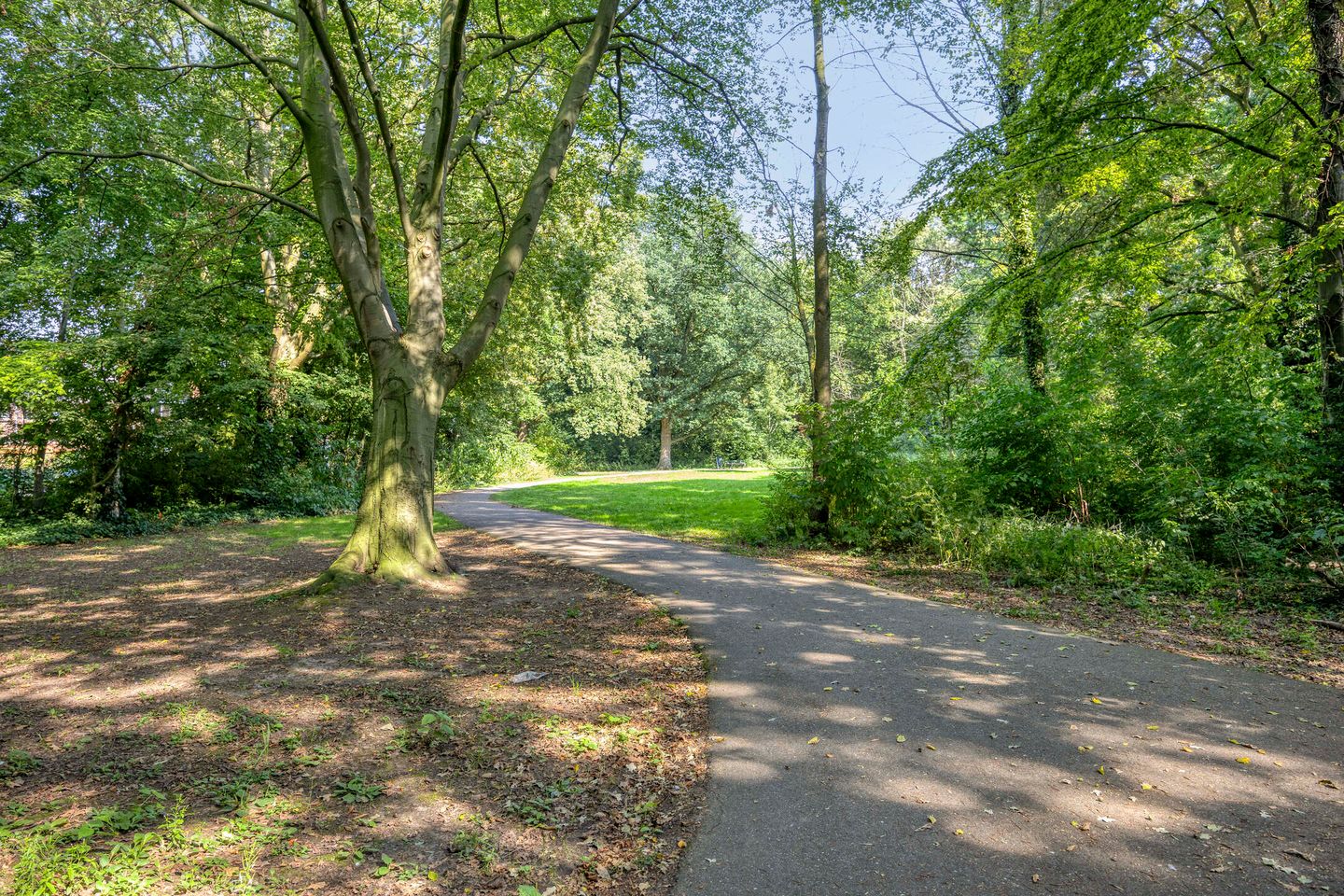 Foto 55 van Jan Steenstraat 39-B