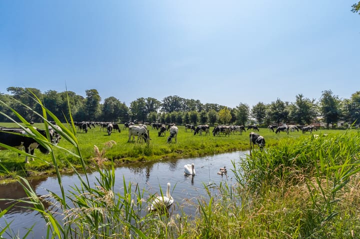 Foto 24 van Zuidereinde 124