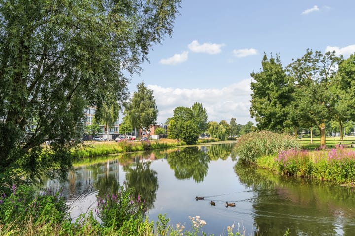 Photo 27 of Marco Pololaan 229