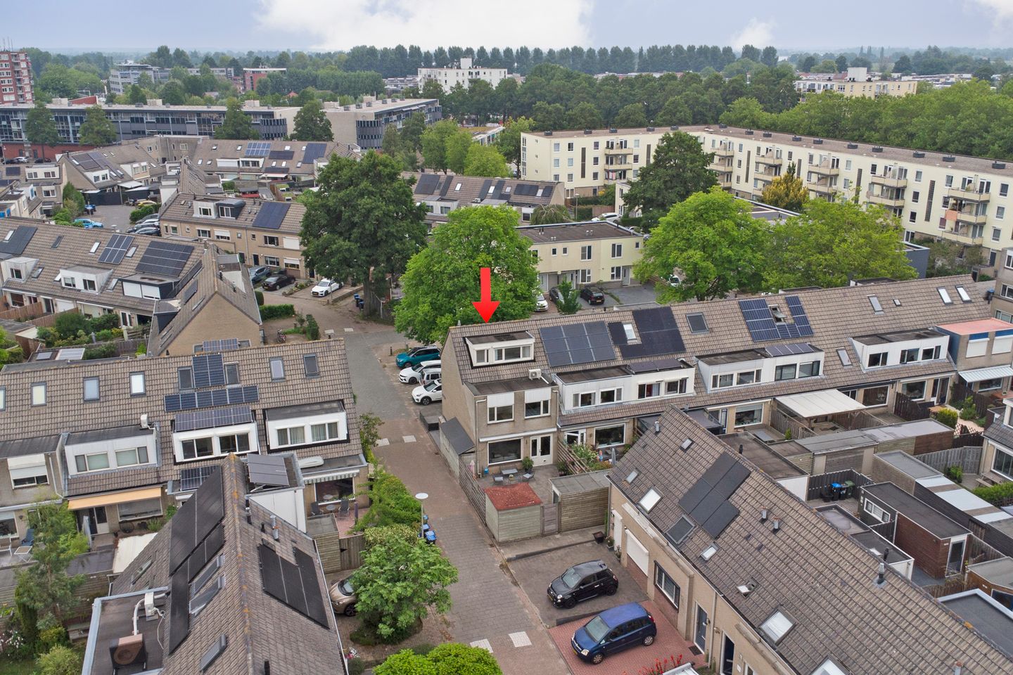 Foto 5 van Beukmolenplantsoen 16