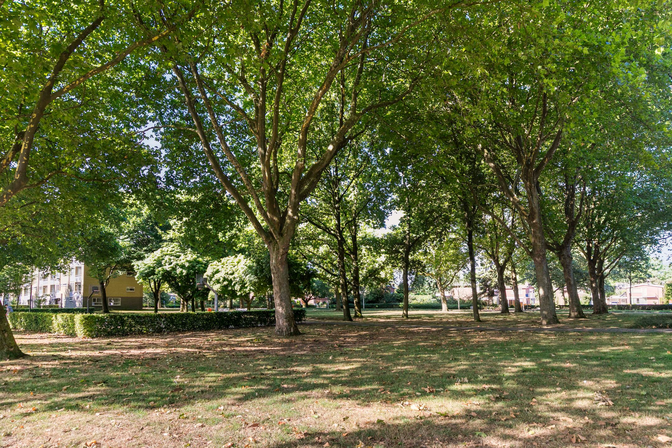 Foto 30 van Kometenlaan 17