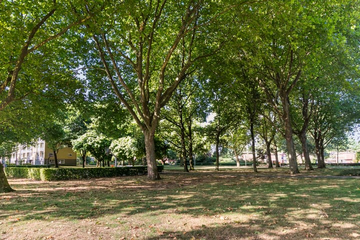 Foto 30 van Kometenlaan 17