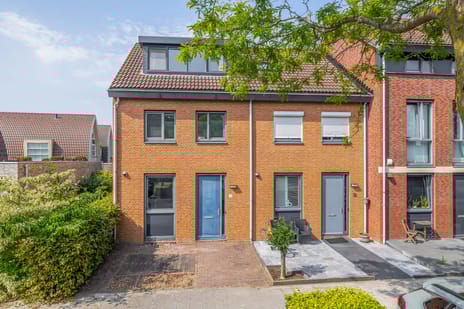 undefined main image