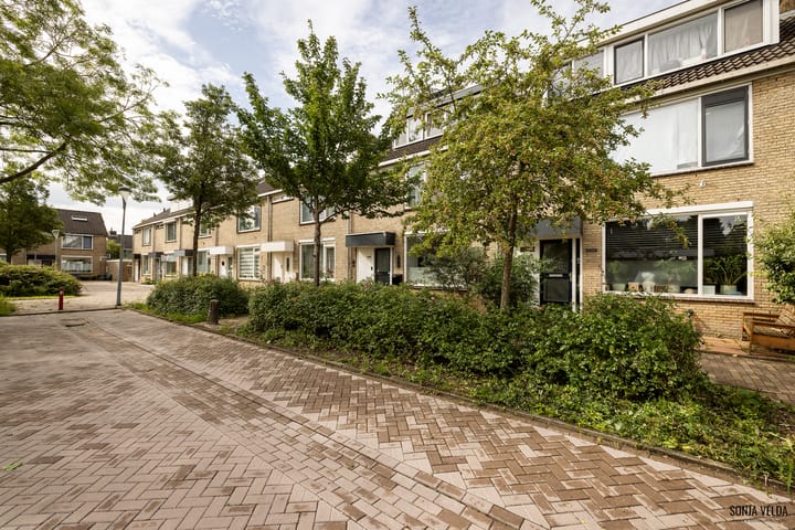 Photo 44 of Graan voor Visch 15315