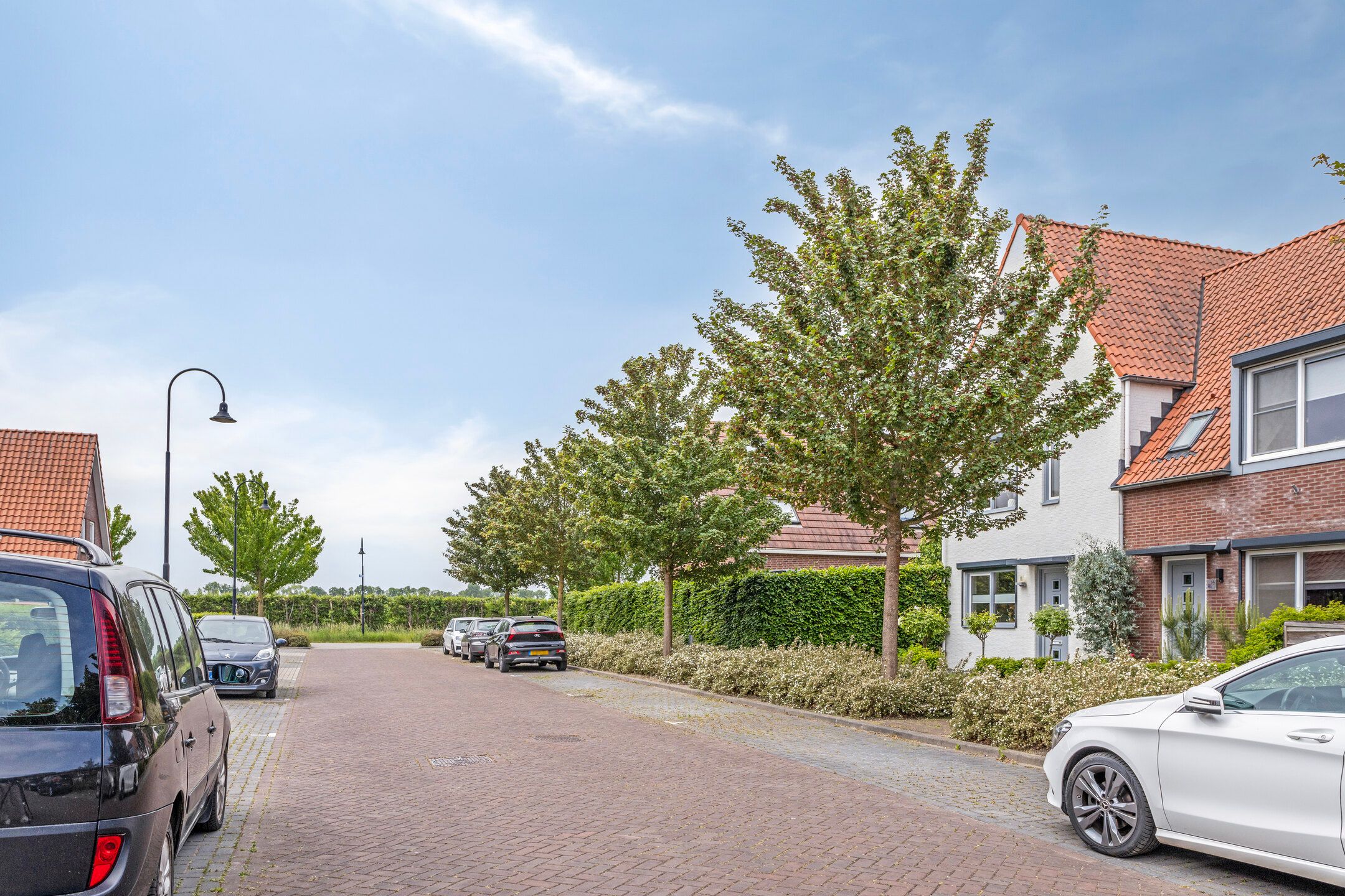 Photo 3 of De Stampertjes 16