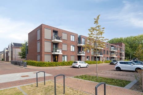 undefined main image