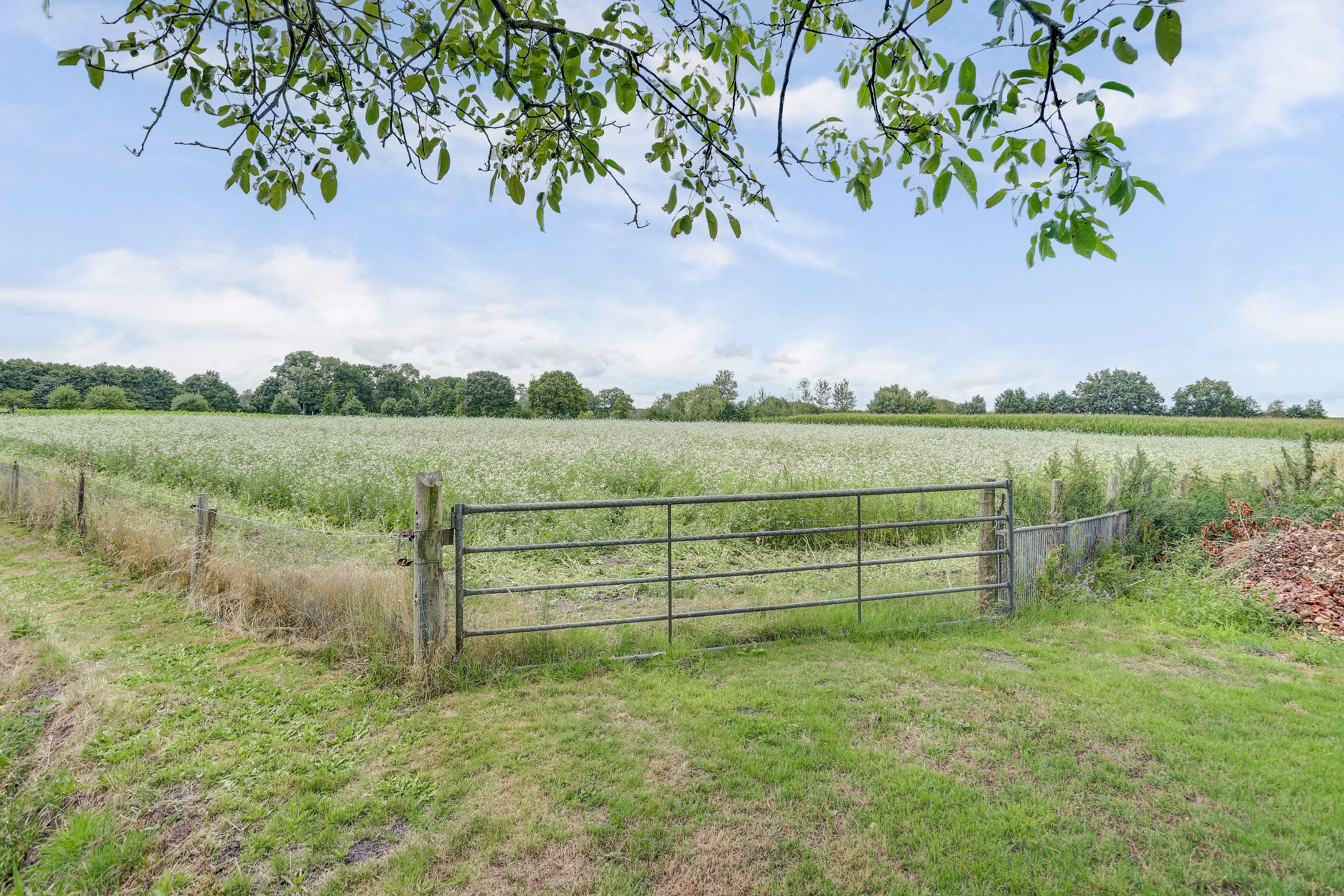 Foto 36 van Hakvoortseweg 9