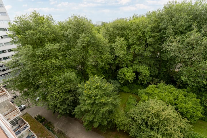 Foto 9 van Van Nijenrodeweg 500