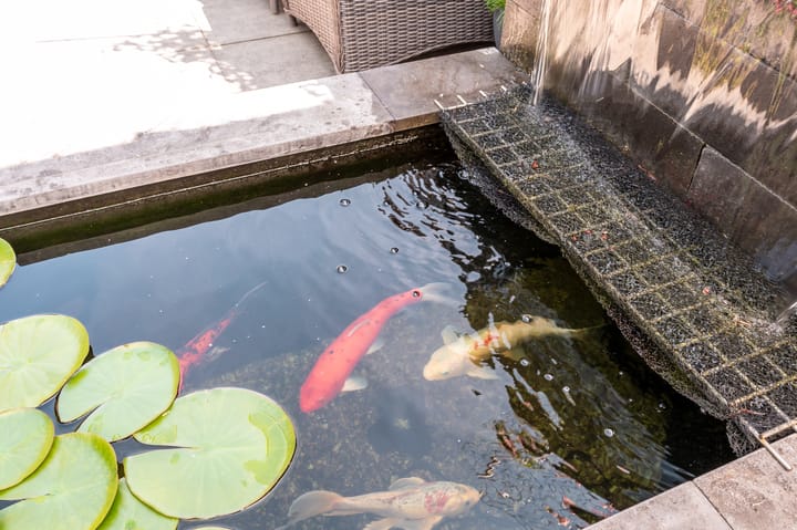 Foto 40 van Oderstraat 1