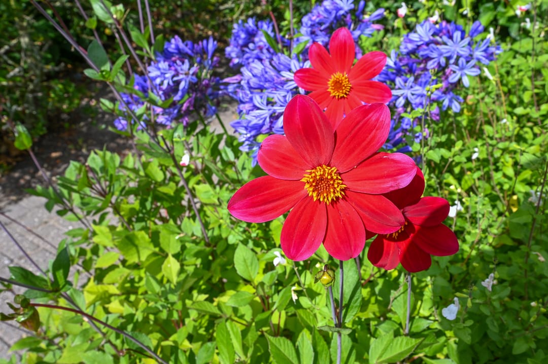 Foto 56 van Nolweg 2-D