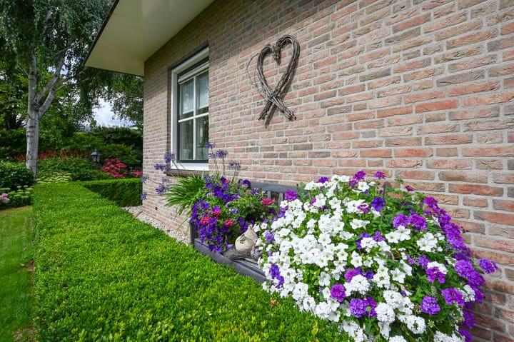 Foto 63 van Nolweg 2-D