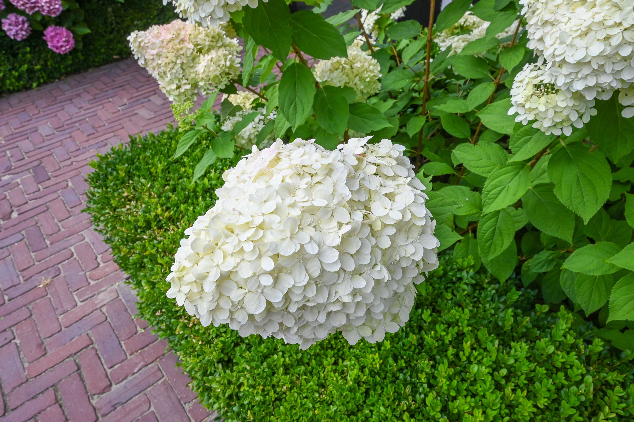 Foto 66 van Nolweg 2-D