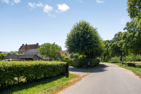 undefined main image