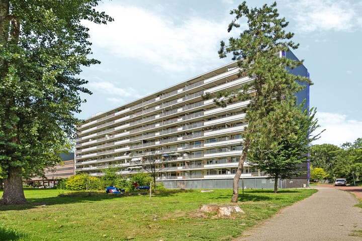 Foto 1 van Tjasker 34