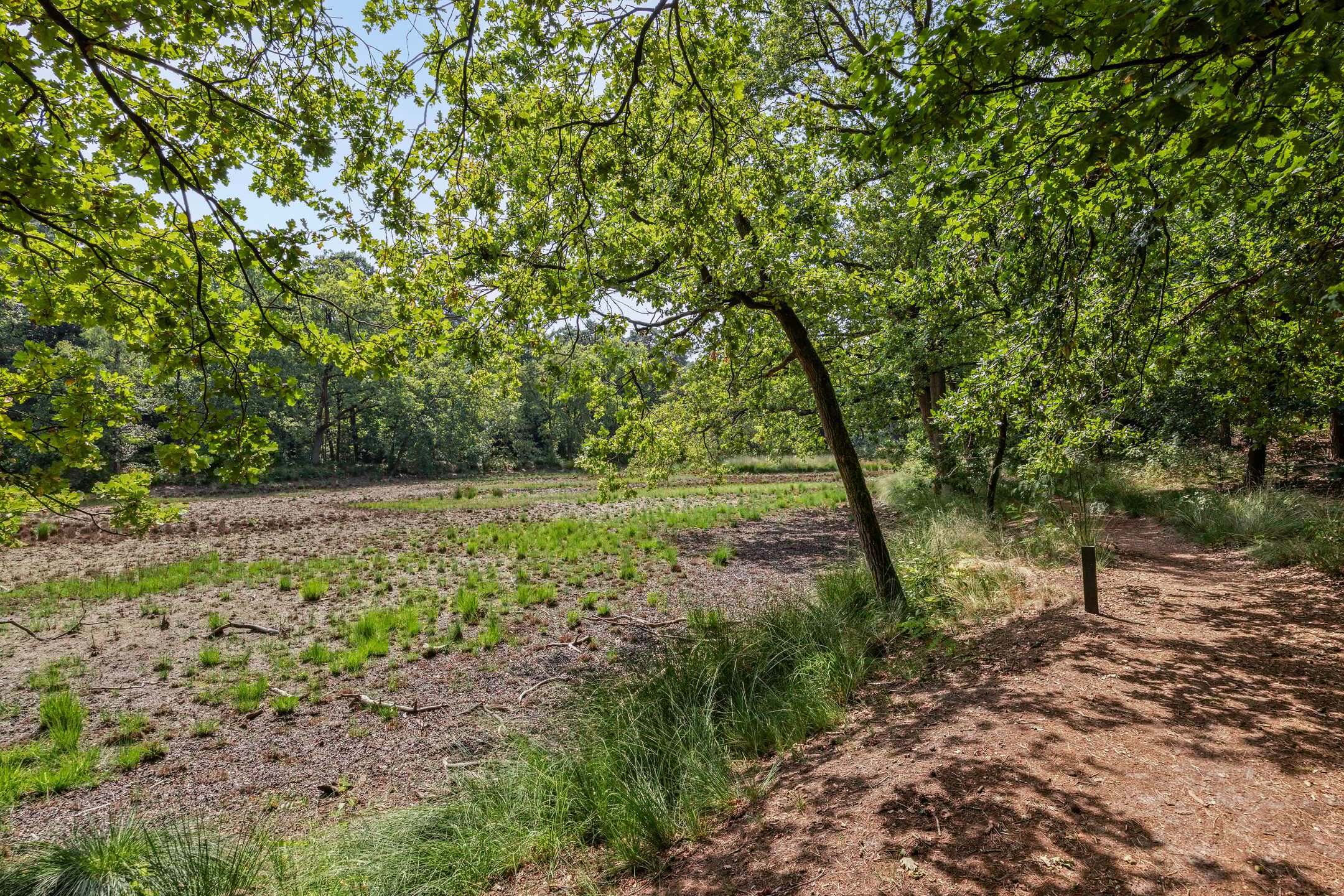 Foto 51 van Willibrorduslaan 123