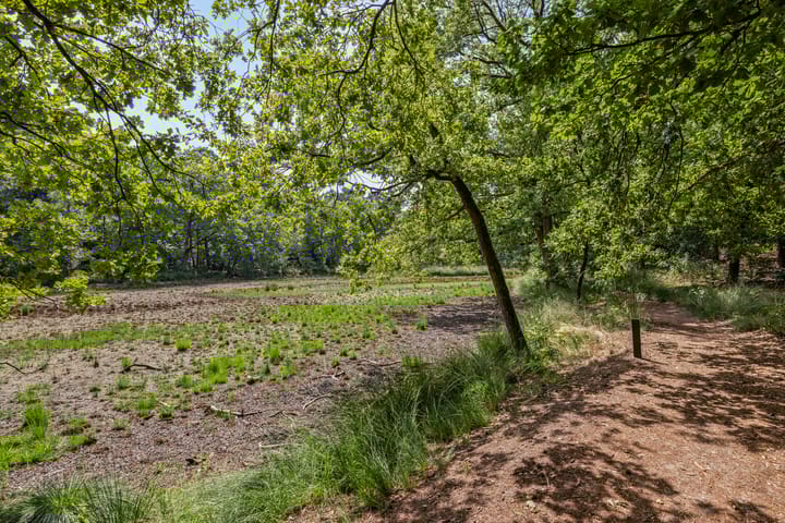 Foto 51 van Willibrorduslaan 123