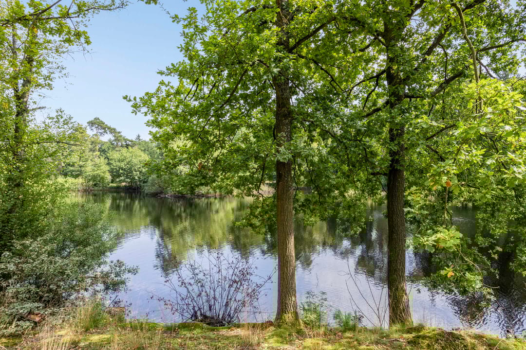 Foto 52 van Willibrorduslaan 123