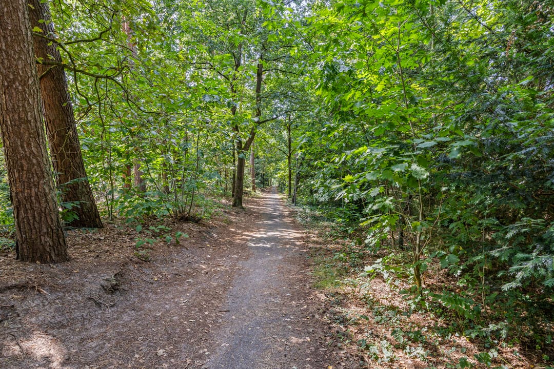 Foto 53 van Willibrorduslaan 123