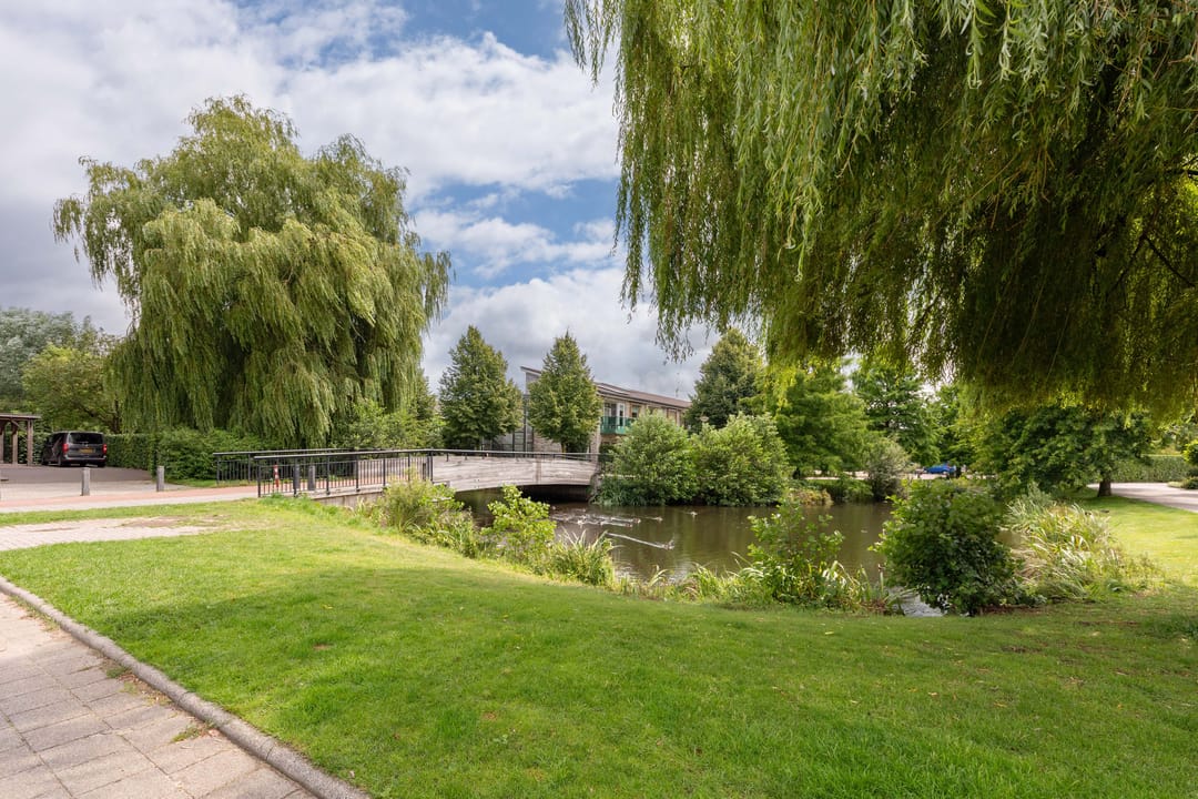 Foto 41 van Paltrokstraat 17