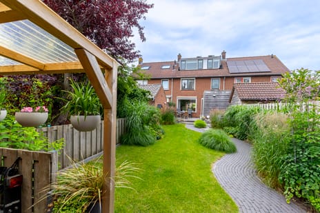 undefined main image