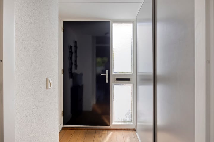 Foto 2 van Kemphaan 45