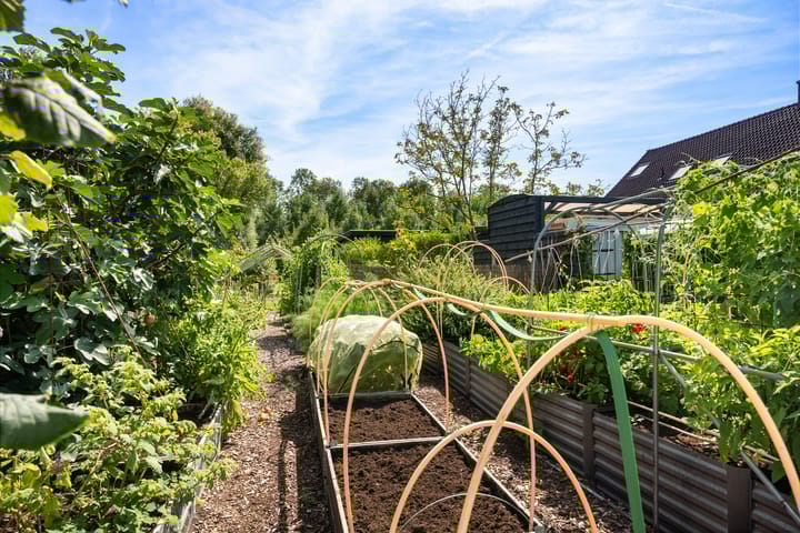 Foto 94 van Rijksstraatweg 314