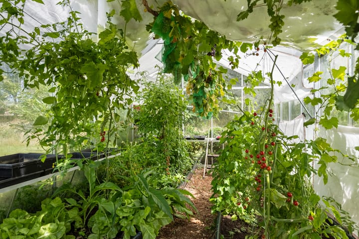 Foto 96 van Rijksstraatweg 314