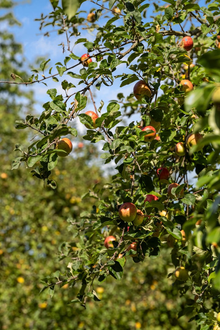 Foto 97 van Rijksstraatweg 314