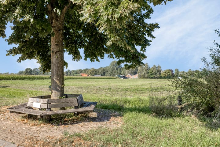 Photo 4 of Anton Mollemanhof 56