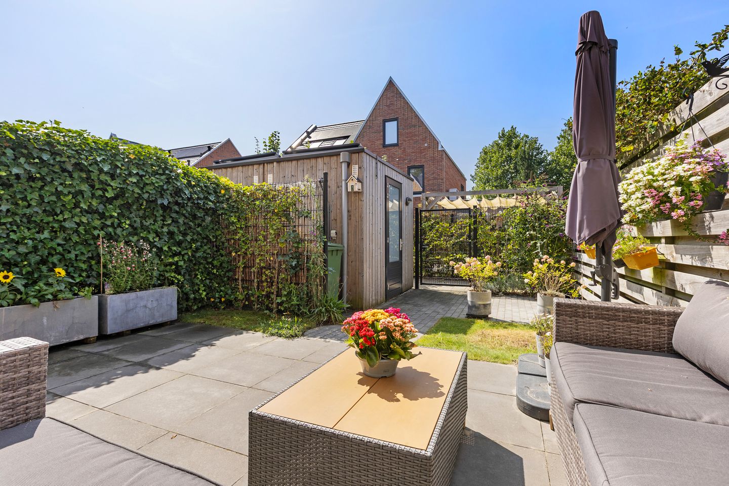 Foto 5 van Wijnruitstraat 9