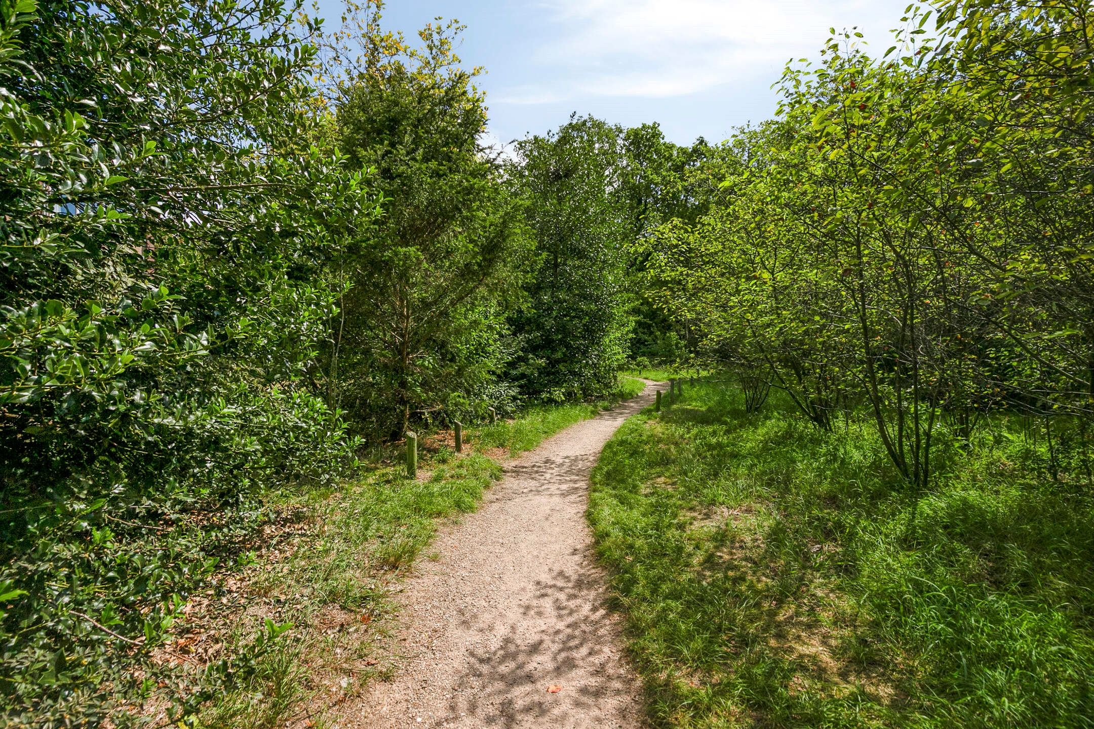 Foto 36 van Dorotheagaarde 56