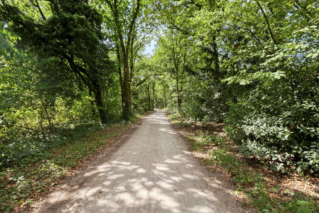 Foto 37 van Dorotheagaarde 56