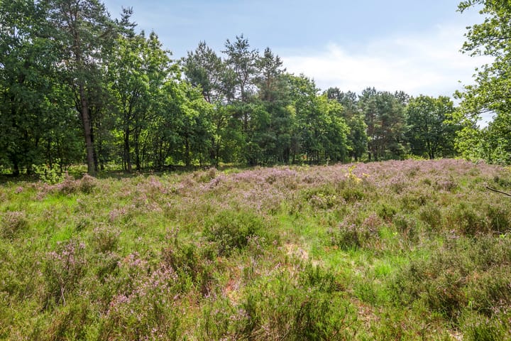 Foto 38 van Dorotheagaarde 56