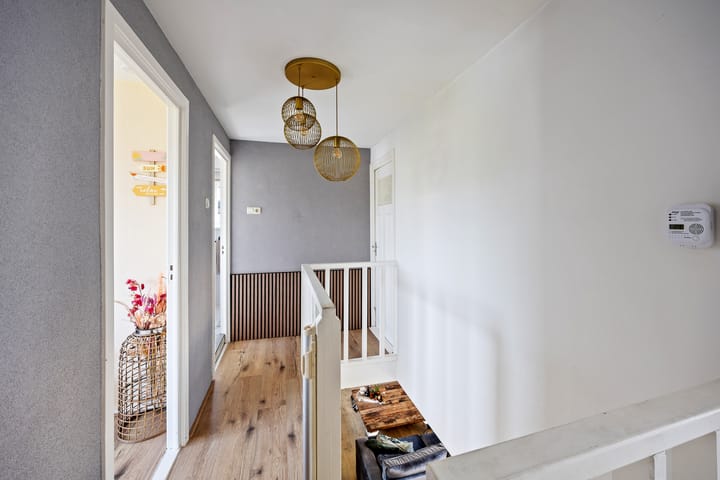 Foto 21 van Anjelierstraat 1