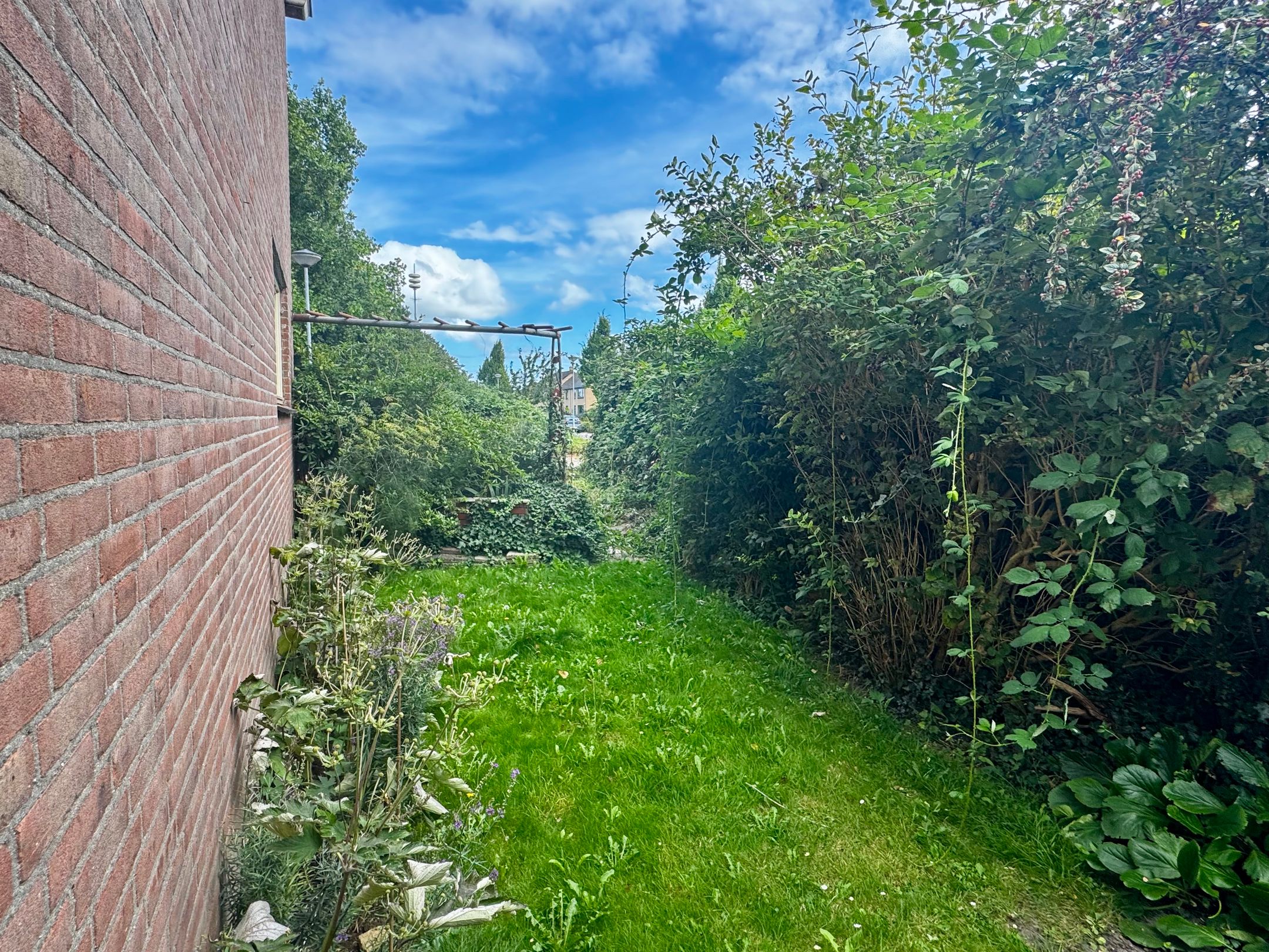 Foto 24 van Raadhuisstraat 34