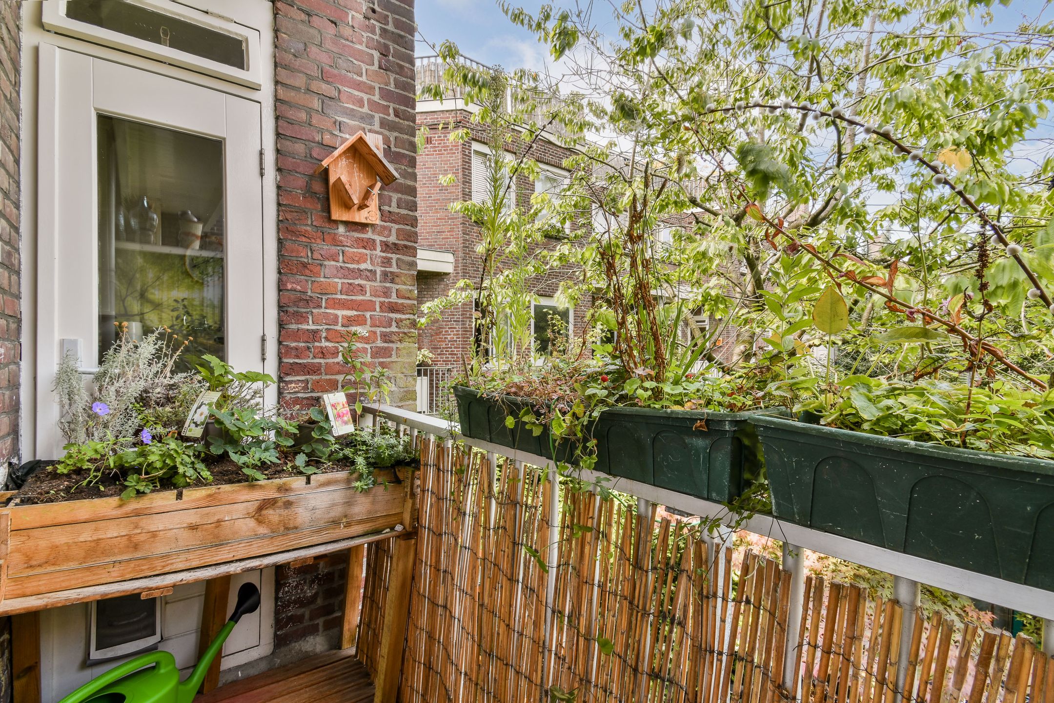 Foto 18 van Galileïplantsoen 81