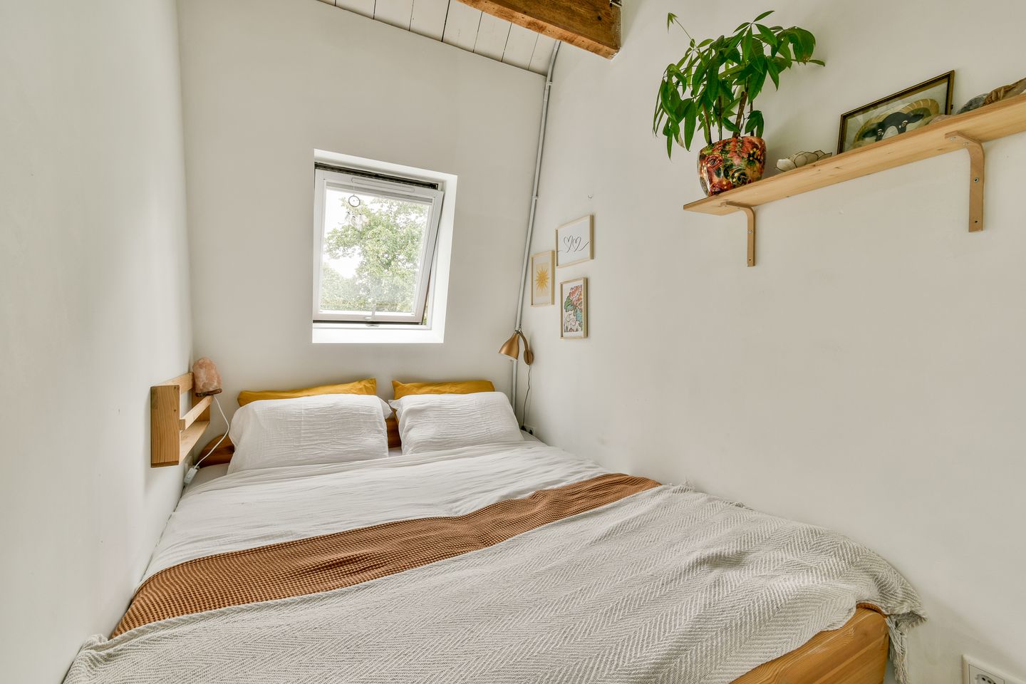 Foto 25 van Galileïplantsoen 81