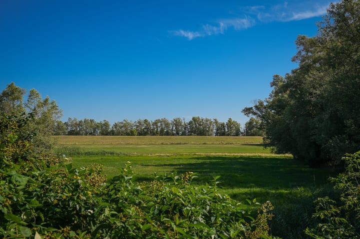 Foto 29 van Waalbandijk 66