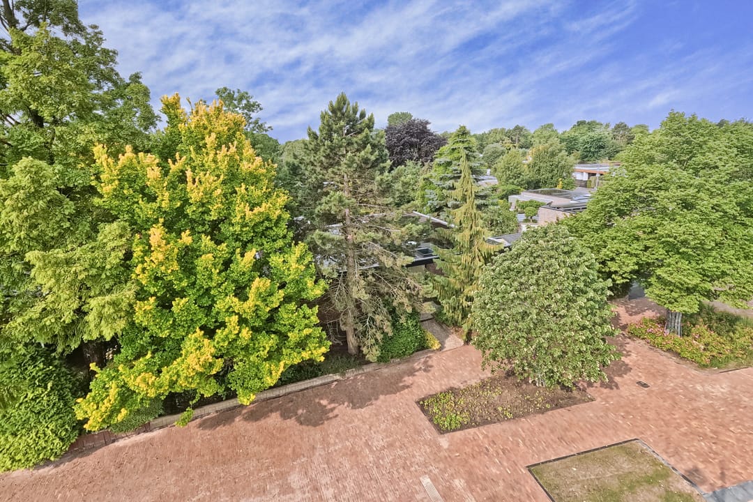 Foto 76 van Robert Kochstraat 6