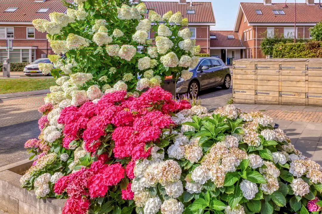 Foto 31 van Tijsselinglaan 66