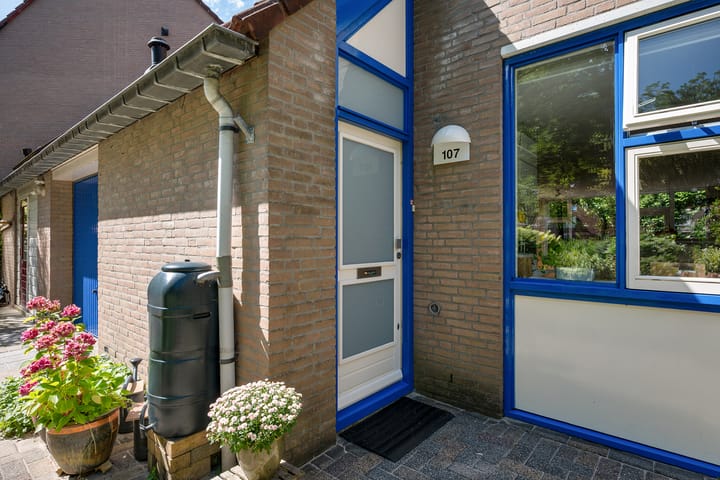 Foto 13 van Jensemaheerd 107