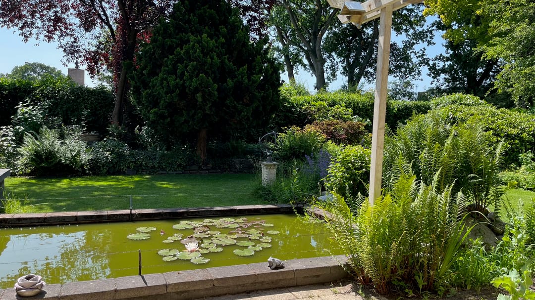 Foto 41 van Het Lage Holt 19