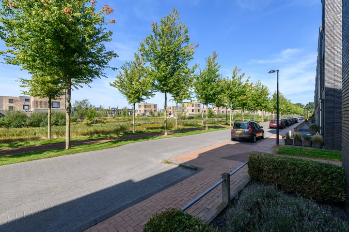 Foto 42 van Henriëtte Roland Holstweg 14