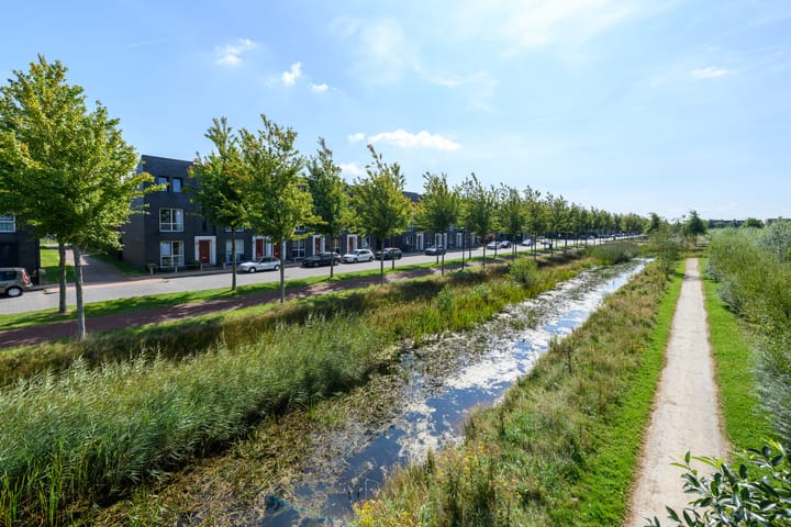 Foto 45 van Henriëtte Roland Holstweg 14