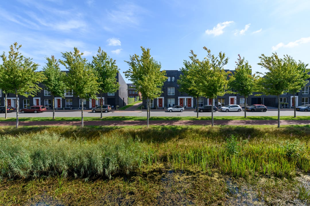 Photo 46 of Henriëtte Roland Holstweg 14